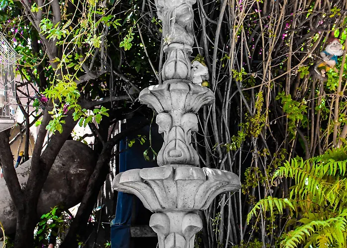 Hotel Fuente De Agua